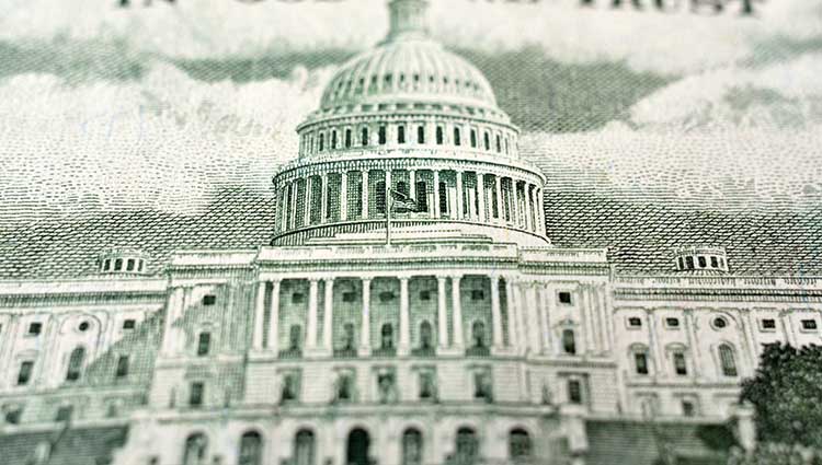 Zoomed in image of currency showing the capitol building in Washington DC