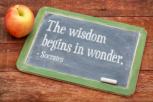 "The Wisdom Begin In Wonder." ~ Socrates