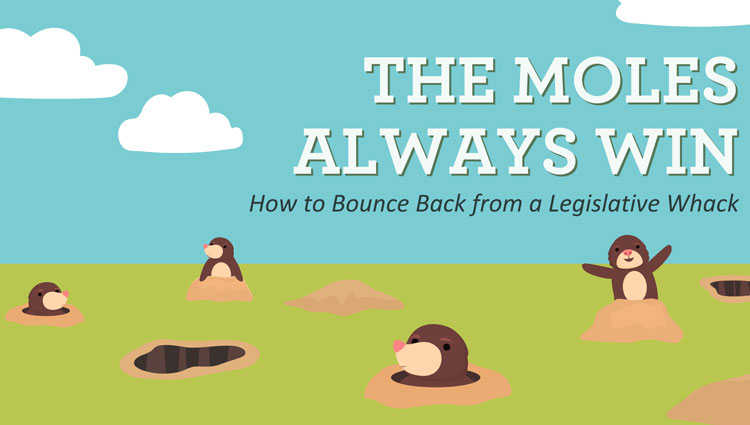 Illustration of cheerful cartoon moles popping out of holes in a green field under a blue sky, with text that reads “The Moles Always Win: How to Bounce Back from a Legislative Whack”.