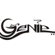 Genie-4.png